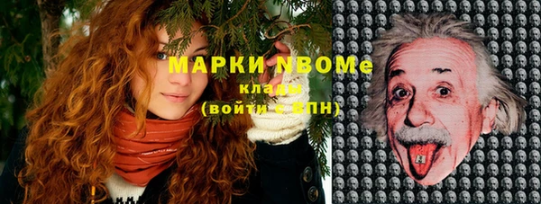 PSILOCYBIN Алексеевка