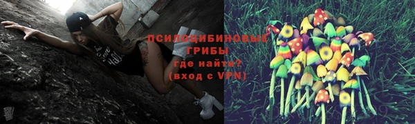 PSILOCYBIN Алексеевка