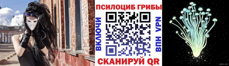 Галлюциногенные грибы ЛСД  Борзя 