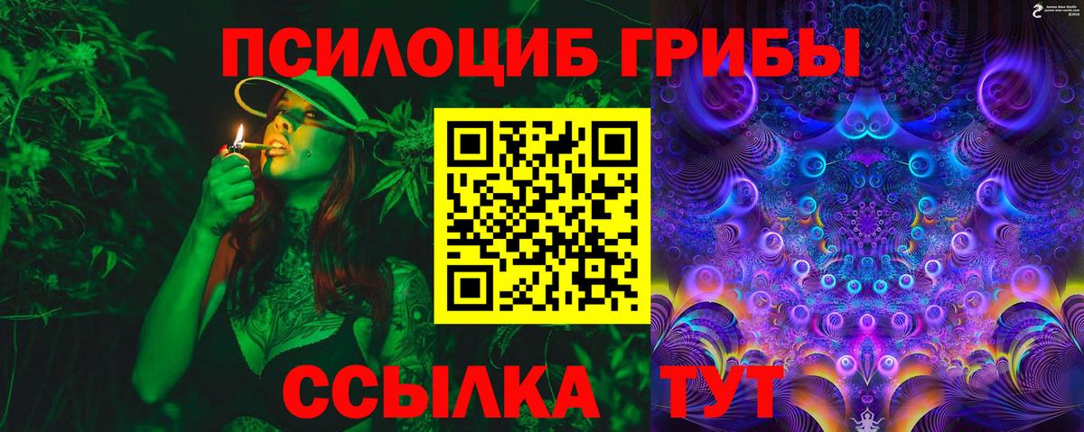 Галлюциногенные грибы MAGIC MUSHROOMS Борзя