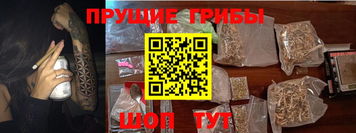 Галлюциногенные грибы GOLDEN TEACHER  Вход с VPN  Борзя 